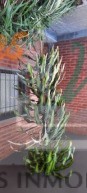 VENTA muy buen depto 2 dorm. en planta baja con patio