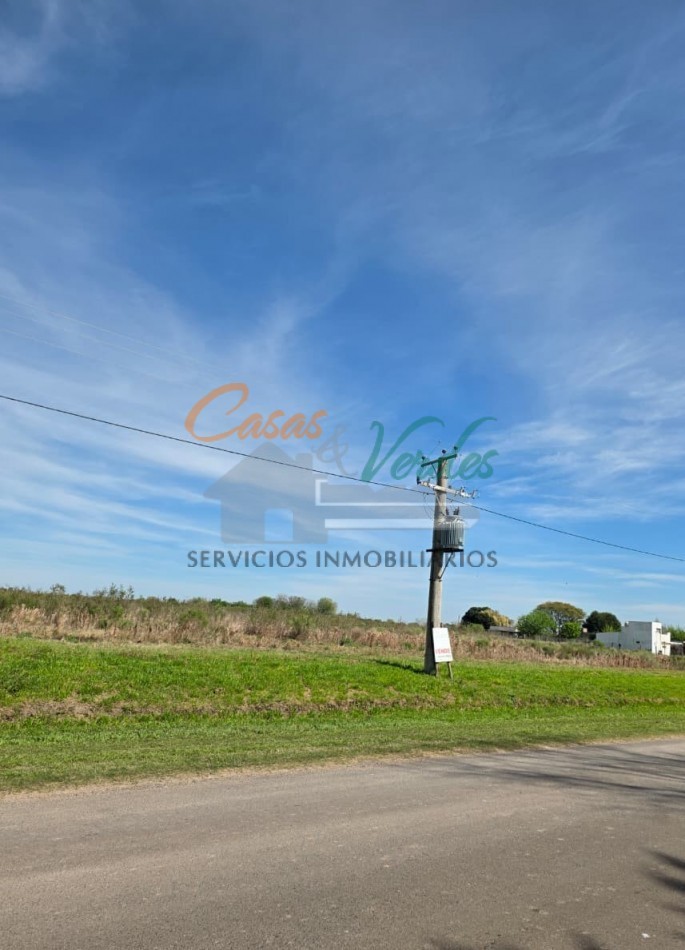 VENTA lotes ANTELO 15 x 50 sobre Asfalto