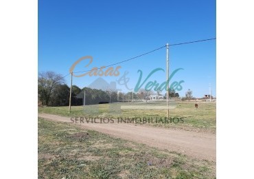 Venta Terreno nro. 12 calle J. J. Passo