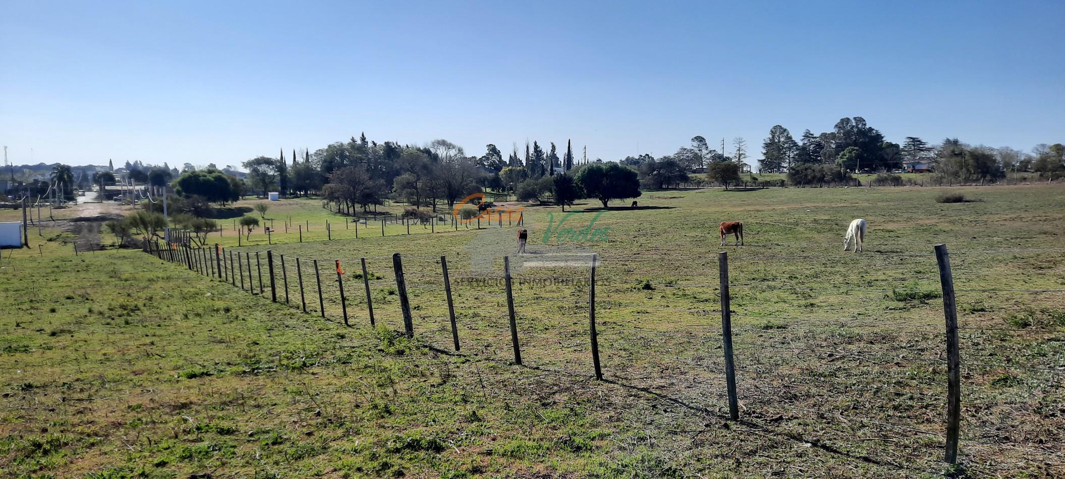 LOTE muy buenas medidas, excelente entorno y vistas, zona en desarrollo, a 1 cuadra de Bvar Brown.-