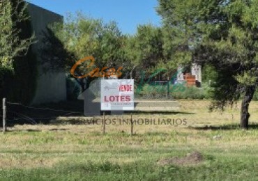 VENTA  terreno frente Bvar Brown, con todos los servicios